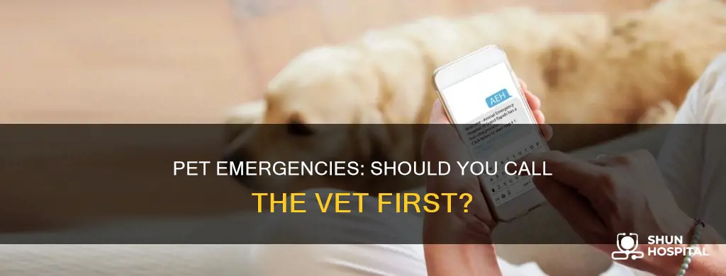 do you call pet emergency hospitals first