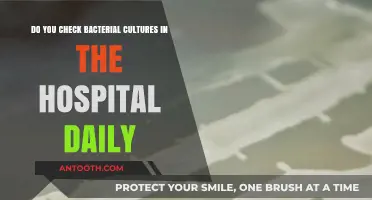 Daily Bacterial Culture Checks: Essential Hospital Practices Explained