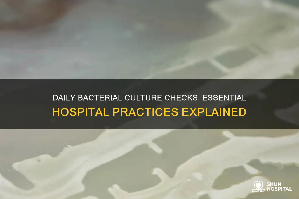 do you check bacterial cultures in the hospital daily