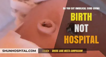 Home Birth Umbilical Cord Cutting: What You Need to Know