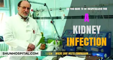 Kidney Infections: When Does Hospitalization Become Necessary?