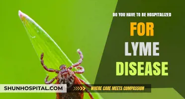 Lyme Disease Hospitalization: When Is It Necessary for Treatment?
