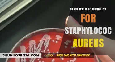 Staphylococcus Aureus: When Does Hospitalization Become Necessary?
