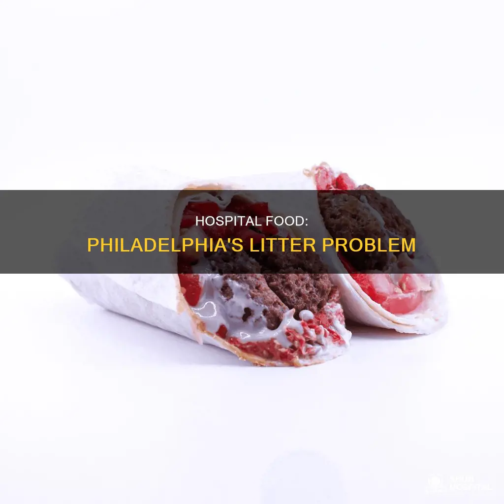 do you like hospital food philadelphia litter