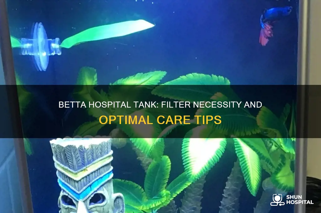 do you need a filter for a betta hospital