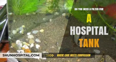 Hospital Tank Essentials: Do You Really Need a Filter?