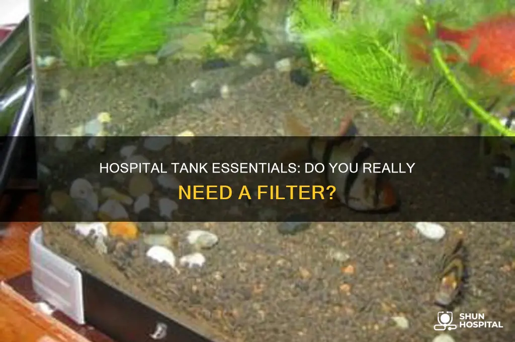 do you need a filter for a hospital tank