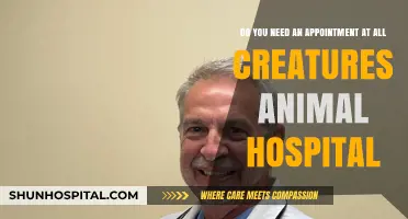 Do You Need an Appointment at All Creatures Animal Hospital?