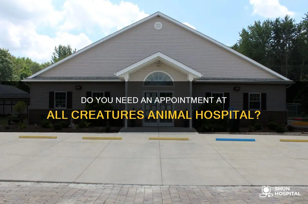 do you need an appointment at all creatures animal hospital