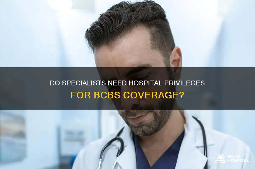 do you need hospital priveledges as a speciaist bcbs