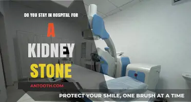 Kidney Stone Hospital Stays: What to Expect and When