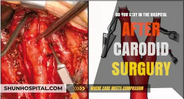 Carotid Surgery Recovery: What to Expect Post-Operation Hospital Stay