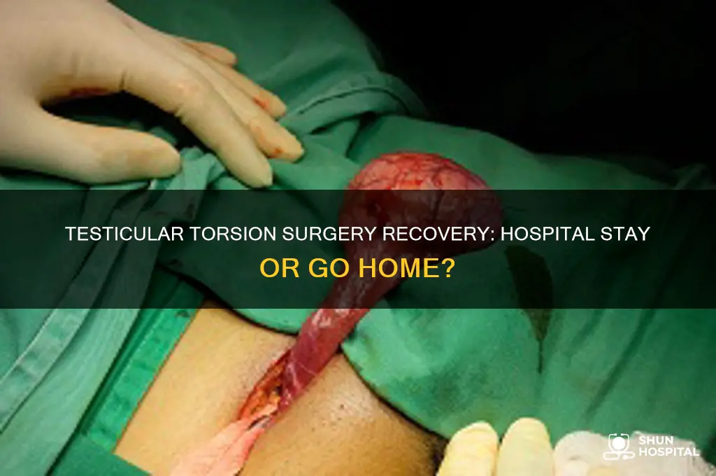 do you stay in the hospital after testicular torsion surgery