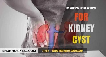 Kidney Cyst Hospital Stays: What to Expect and When
