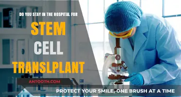 Stem Cell Transplant Hospital Stay: What to Expect During Recovery