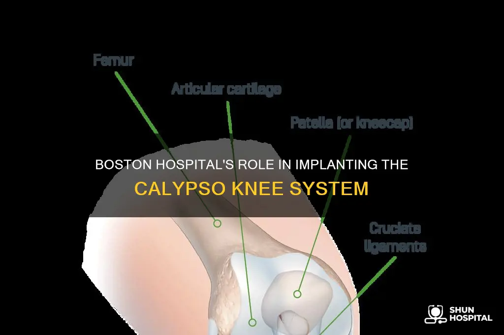 does a boston hospital implant the calypso knee system