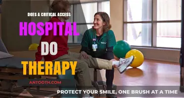 Critical Access Hospitals: Therapy Services Available?
