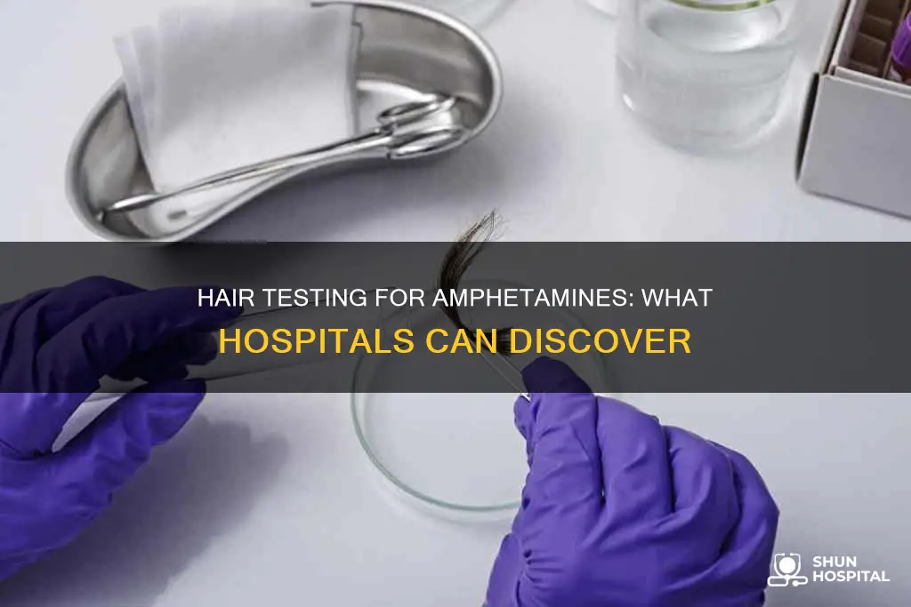 does a hospital hair test for amphetamines