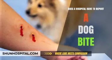 Dog Bite Reporting: Hospital Obligations and Legal Requirements Explained