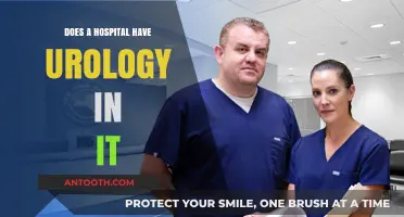 Urology Services: What Hospitals Offer