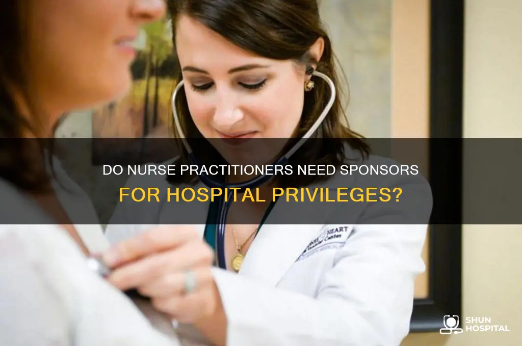 does a nurse practitioner need a sponsor for hospital privileges