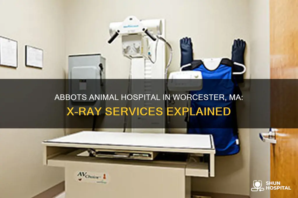does abbots animal hospital in worcester ma do x rays