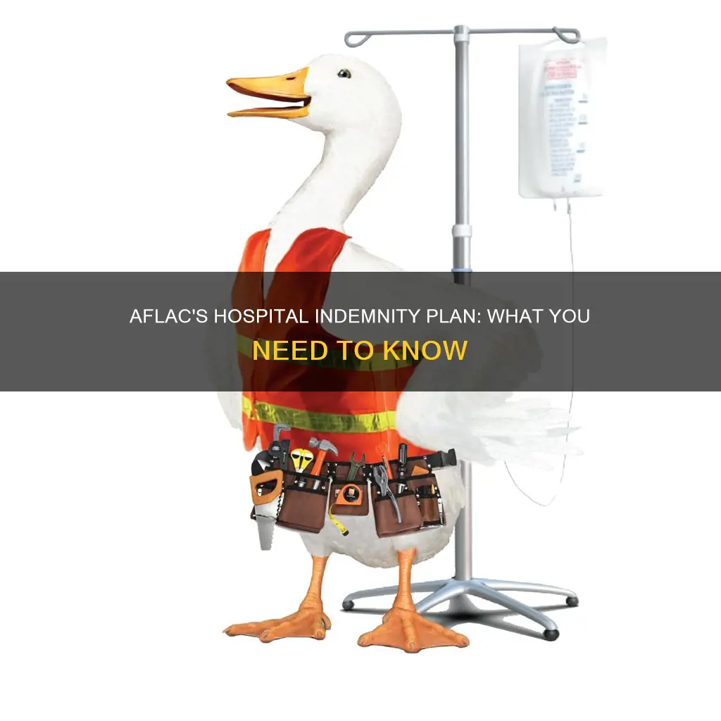 does aflac have a hospital indemnity plan