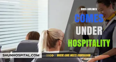 Are Airlines Part of the Hospitality Industry? Exploring the Connection
