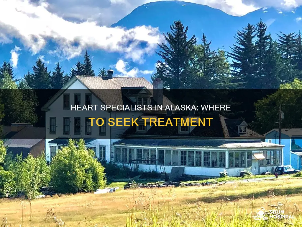 does alaska have hospital with heart specialist