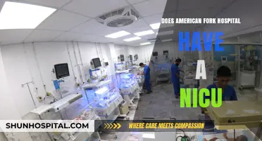 American Fork Hospital: Is There a NICU?