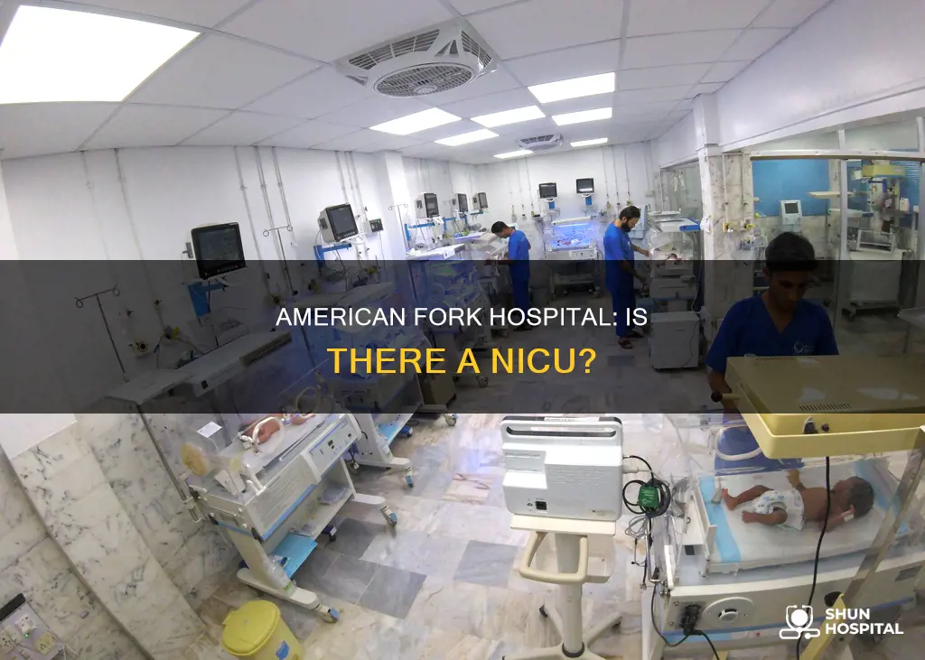 does american fork hospital have a nicu