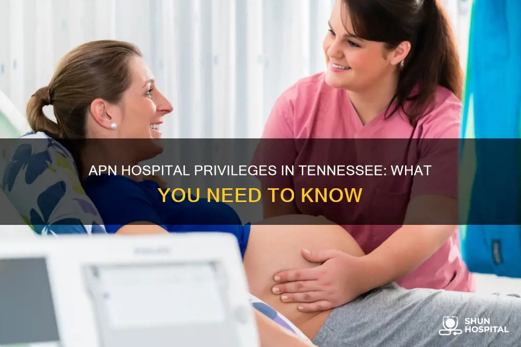 does an apn hospital privileges in tennesee
