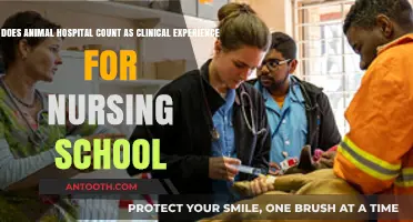 Animal Hospital Experience: Does It Qualify for Nursing School Applications?