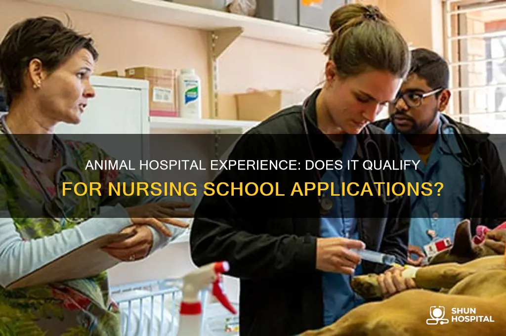 does animal hospital count as clinical experience for nursing school