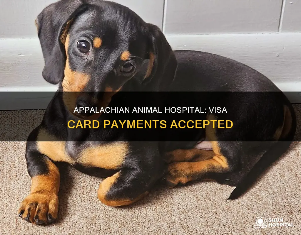 does appalachian animal hospital except visa cards