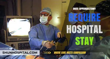 Appendectomy Recovery: Understanding Hospital Stay Requirements and Alternatives