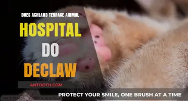 Ashland Terrace Animal Hospital: Declawing Services Available