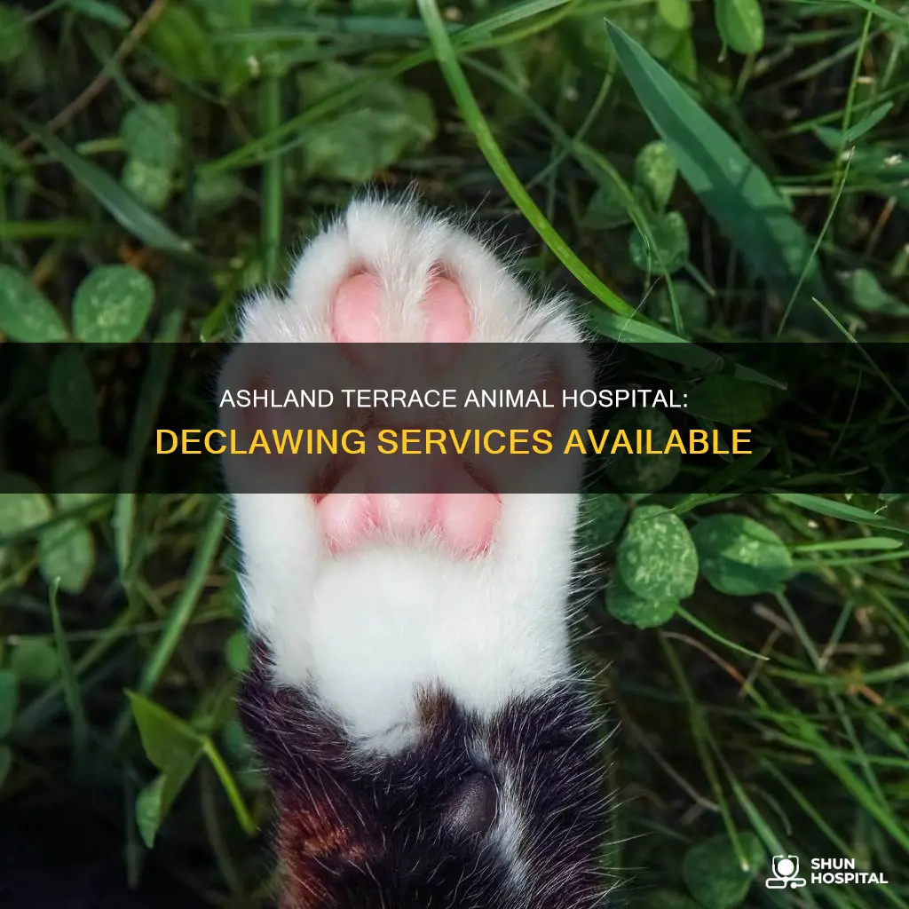 does ashland terrace animal hospital do declaw
