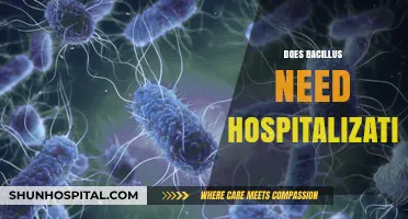 Bacillus Infections: When to Seek Hospitalization and Treatment Options