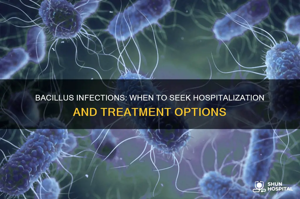 does bacillus need hospitalization
