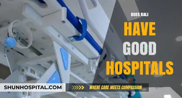 Bali's Healthcare Quality: Are Its Hospitals Reliable for Tourists and Locals?