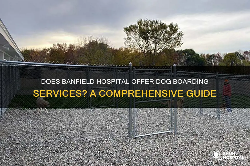 does banfield hospital board dogs
