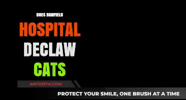 Does Banfield Hospital Declaw Cats? Exploring Policies and Ethical Concerns