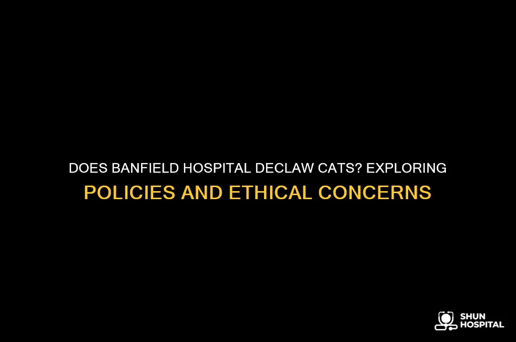 does banfield hospital declaw cats