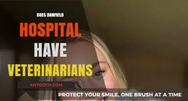 Does Banfield Hospital Employ Veterinarians? Uncovering the Facts