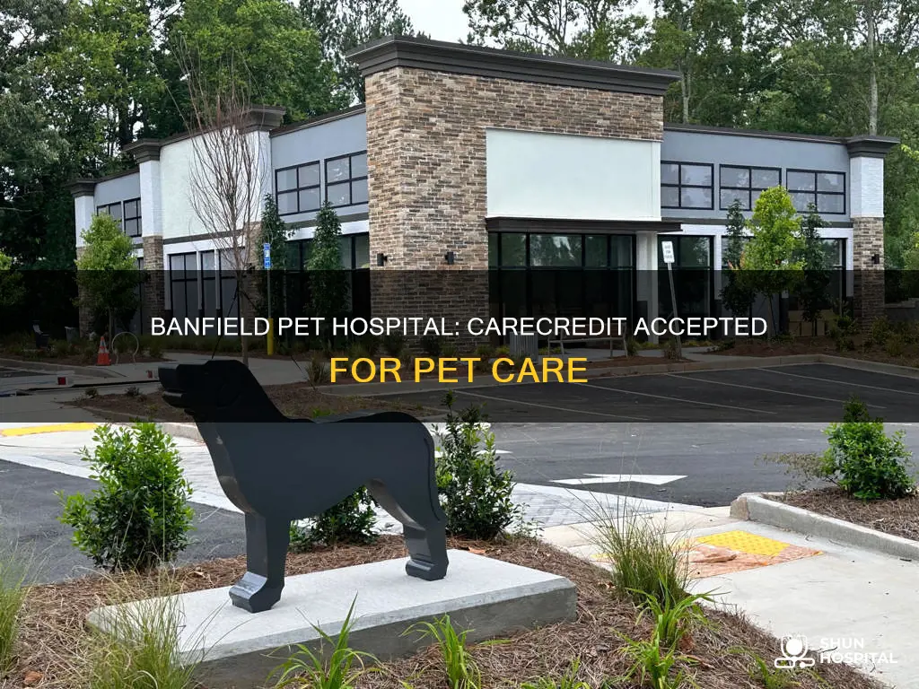 does banfield pet hospital accept care credit