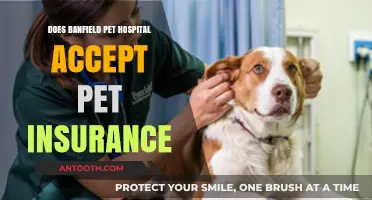 Pet Insurance at Banfield: What You Need to Know