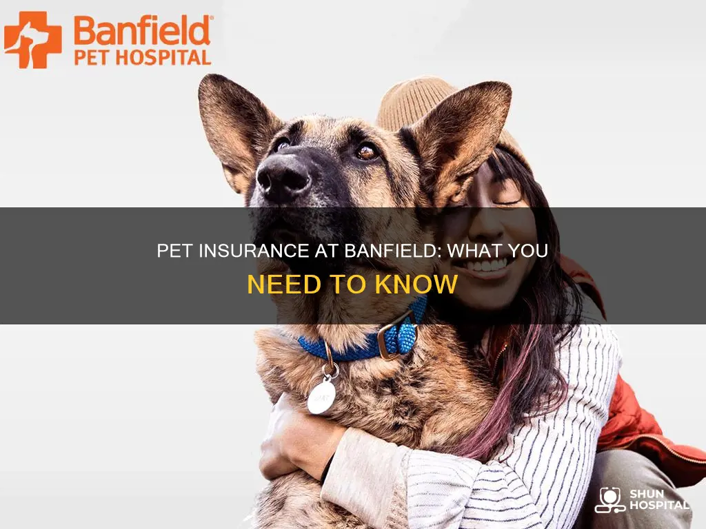 does banfield pet hospital accept pet insurance