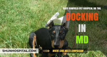 Banfield Pet Hospital Tail Docking Policy in Maryland Explained