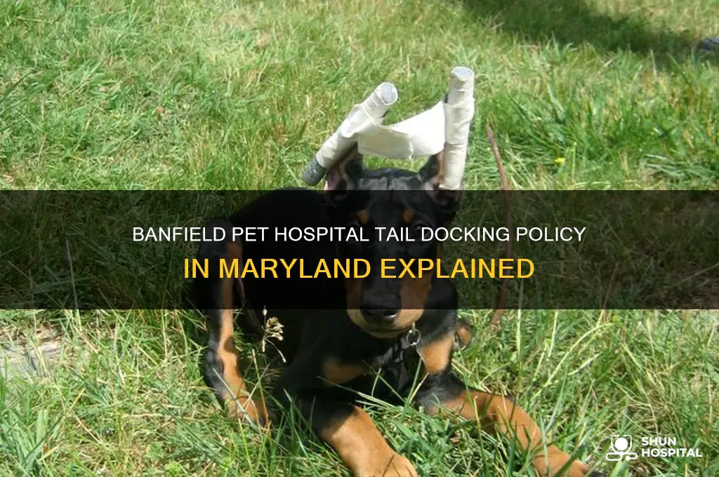 does banfield pet hospital do tail docking in md
